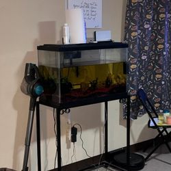 35 Gallon Fish Tank And Stand 