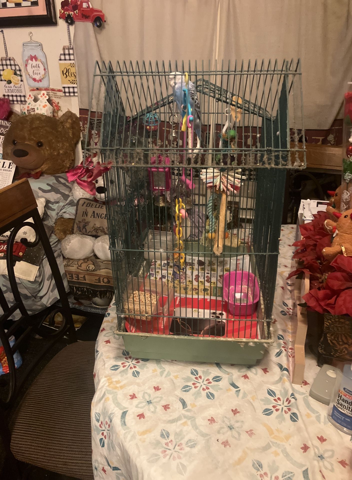 Bird And The Bird Cage And Bird Good And Everything