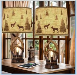 Scenekoy Rustic Farmhouse Antlers Table Lamp Set of 2 with Nightlight Dual USB Ports Linen Fabric Round Shade Bedside Lamp Decor for Living Room Bedro