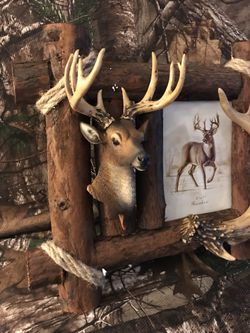 Buck 🦌 pic frame