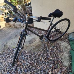 Specialized Cross Roads 