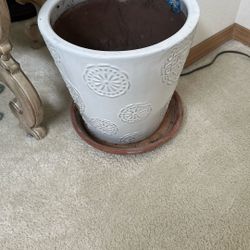 Plant Pot With Terra-Cotta Saucer