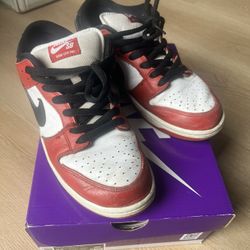 Nike SB Dunk Low Pro