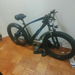 Virubus Electric Bike 