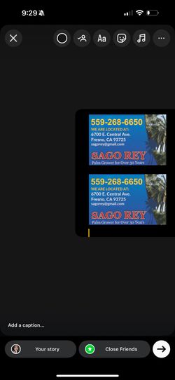 giant birds of paradise for sale