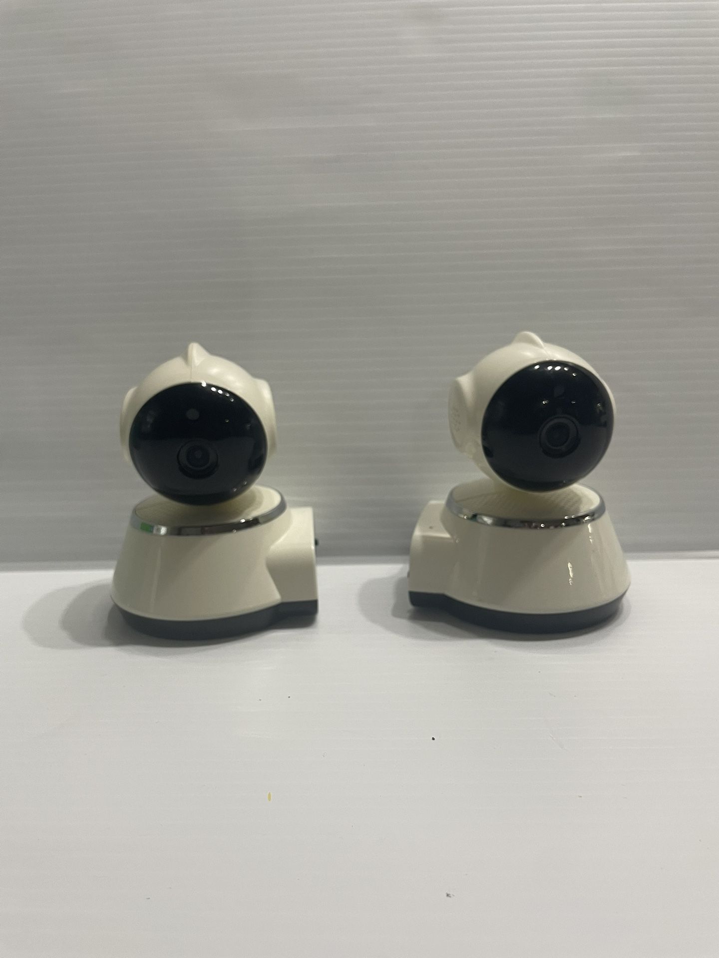 Dual Surveillance Cameras
