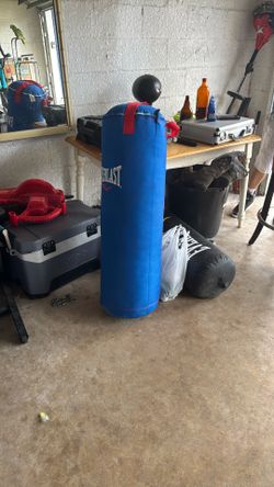 Punching Bag Blue