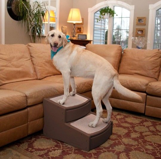 Pet Gear Dog Stairs Extra Wide Pet Stairs, 2 Steps