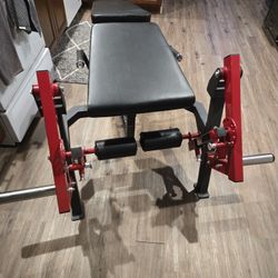 Dual leg Extension Leg Curl