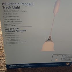 2 Brand New Pendants Light( Never Used)