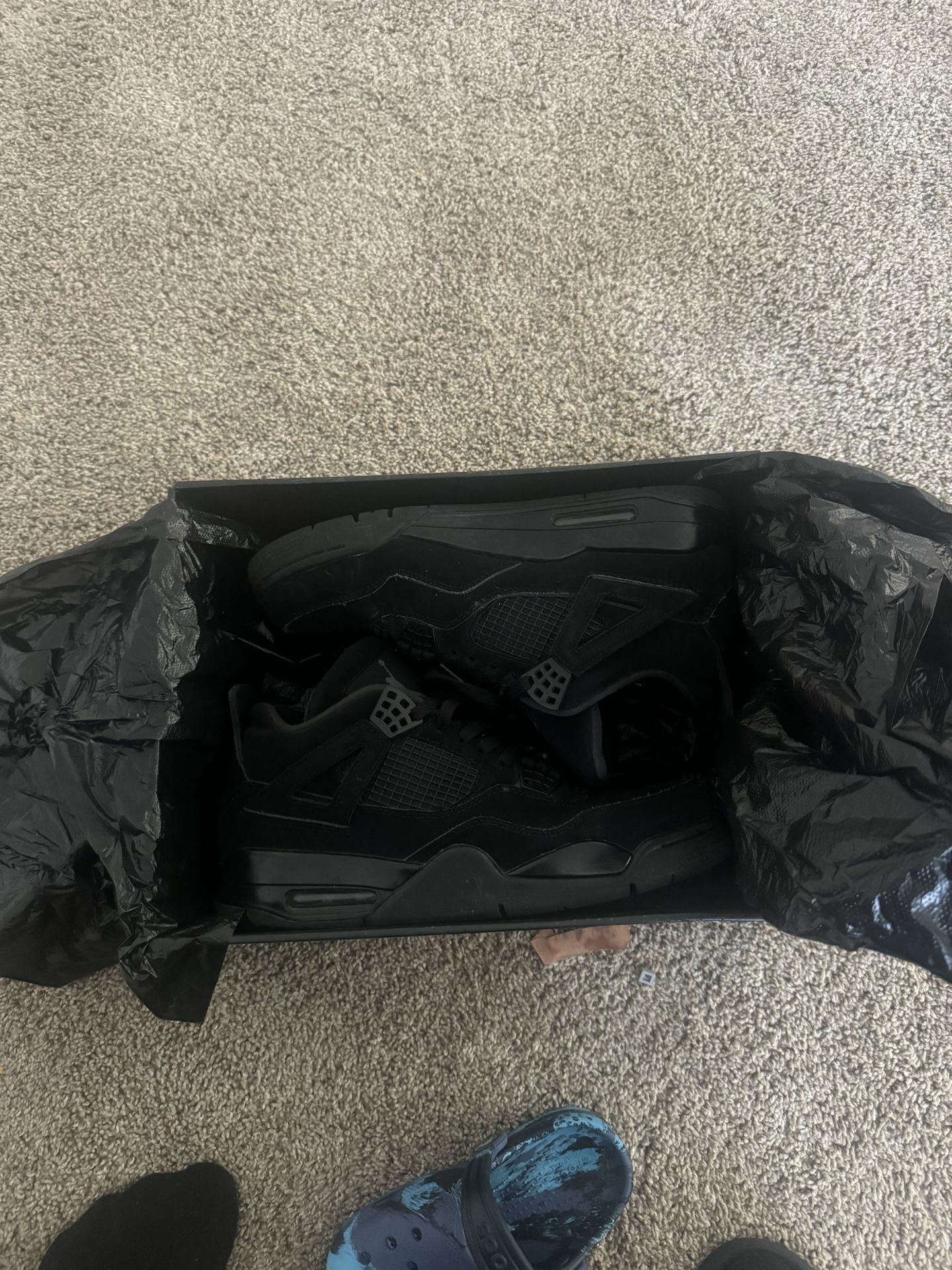 Air Jordan Black Cat 4