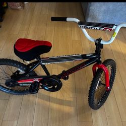 Bike  24”