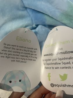 Eliana the Bunny Squishmallow