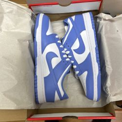 Size 9.5 Nike Dunk Low