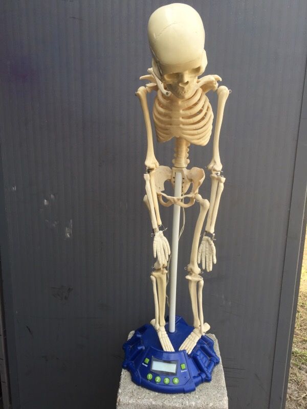 Skeletronix Talking Skeleton