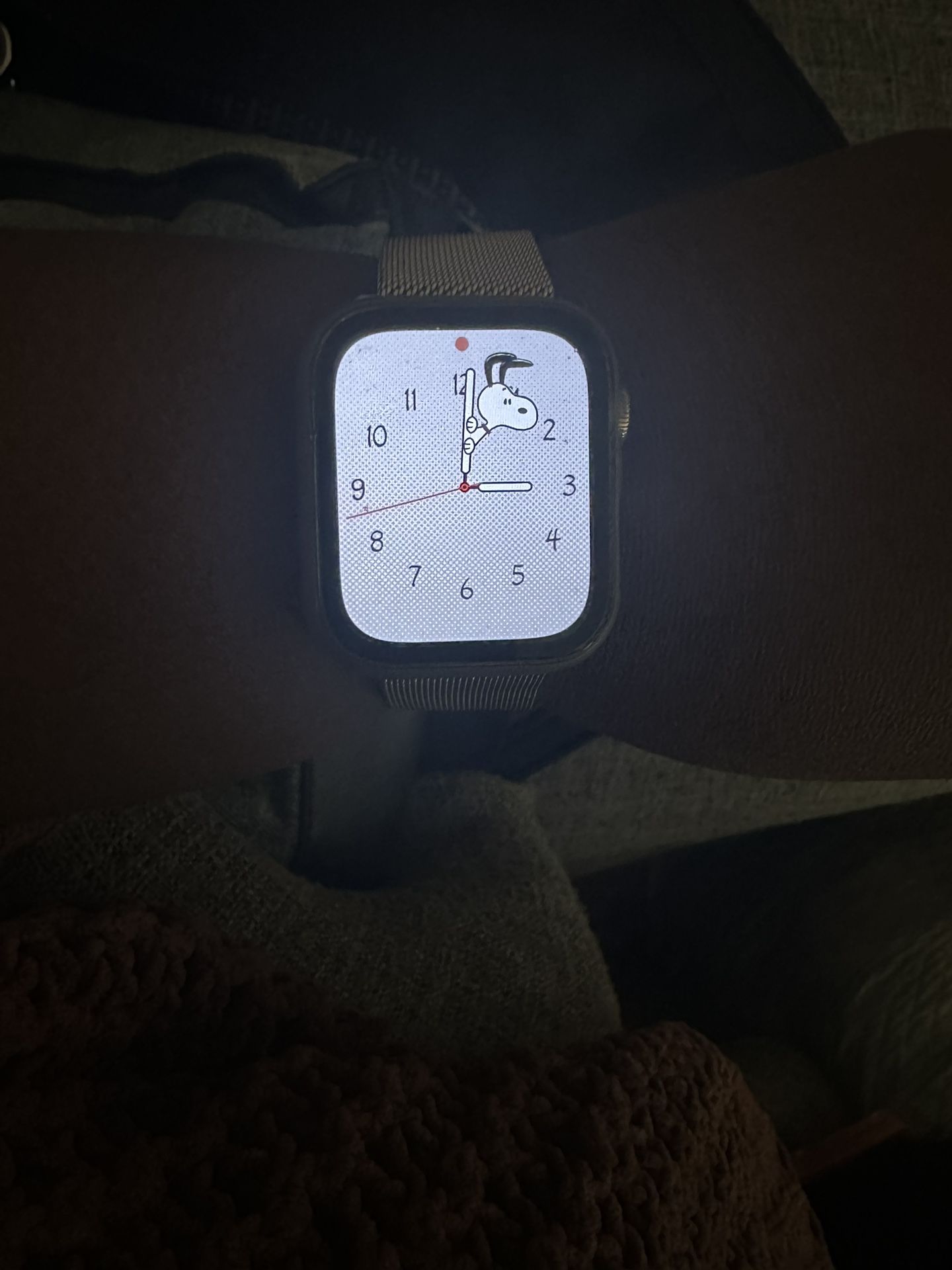 Apple Watch