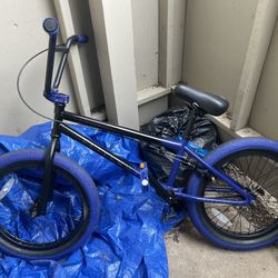 Elite BMX