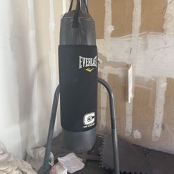 Everlast Punching Bag With Stand
