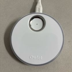 Owlet