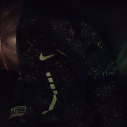 Nike elite backpack