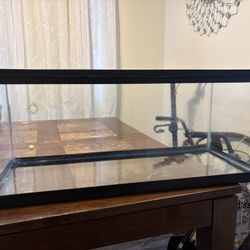 20gallon Tank