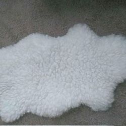 Shag Rug - Decoration / Decorative