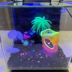 Fish Tank (3 Gal)