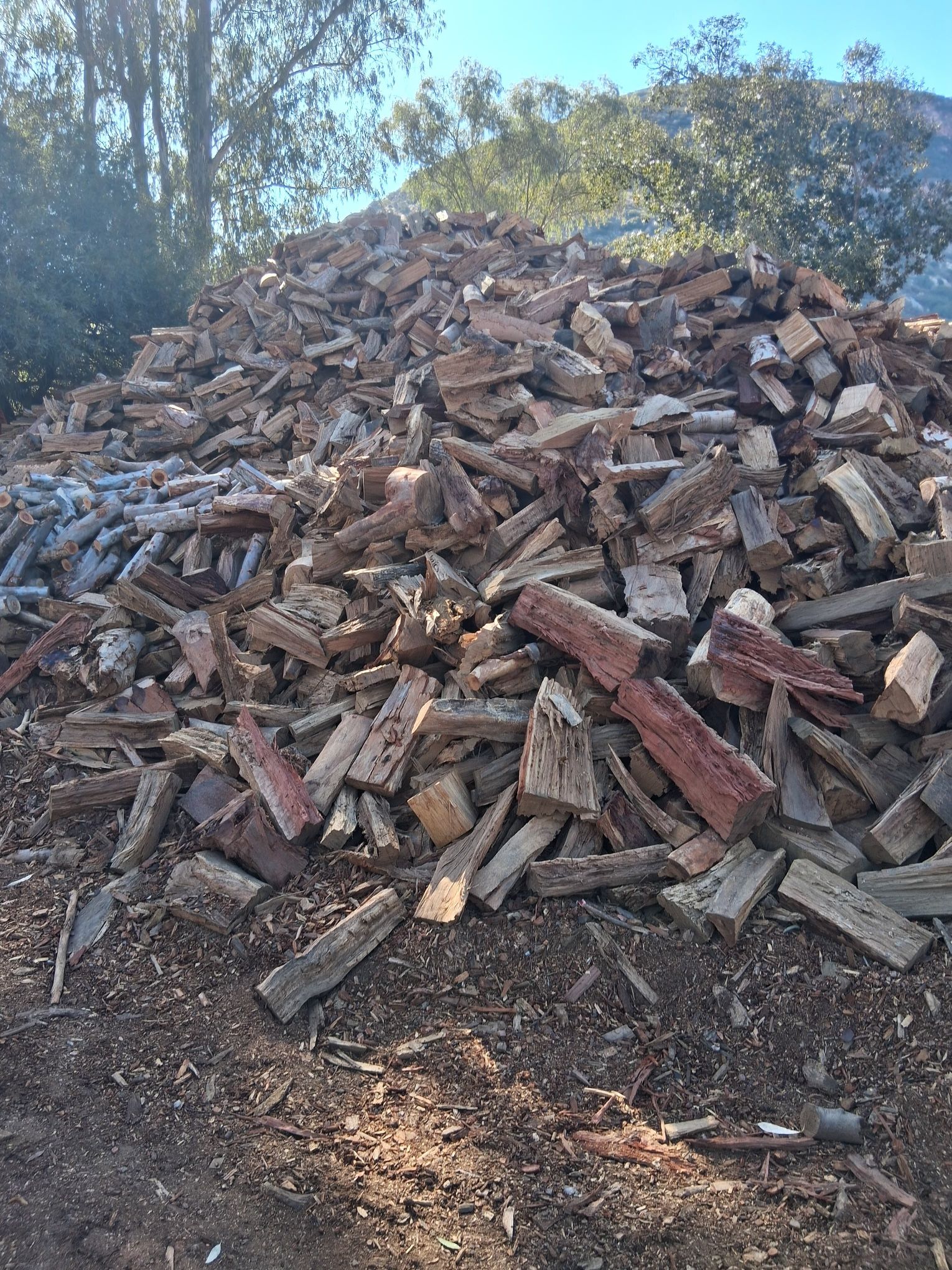 Firewood