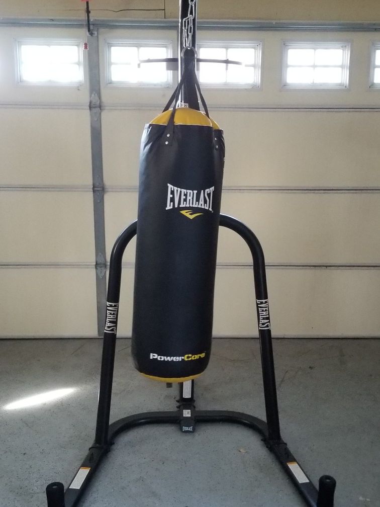 Everlast punching bag and speed bag