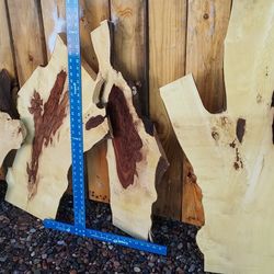 Live Edge Orange Wood Slabs