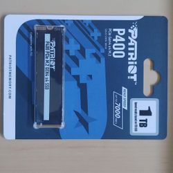 New Patriot P400 1TB
