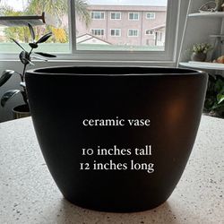 ✨FREE ✨ Ceramic Plant Pots