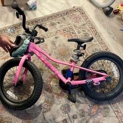 Lightly Used Toddler Bicycle TREK PRECALIBER
