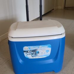 Rolling Cooler, 26 L