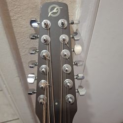 Seagull 12 string guitar