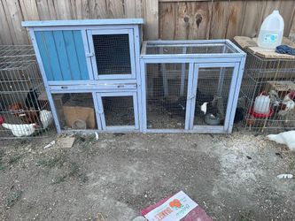 Chicken Coop