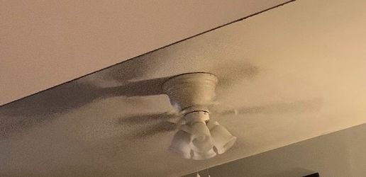 Ceiling Fan (Harbor Breeze)