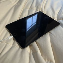 iPad Mini 4