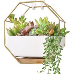 Modern Wall Planter