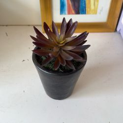 Artificial Succulent Plant