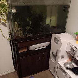 Fish Tank 65 And Stand 