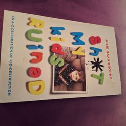 Stuff My Kids Ruined 