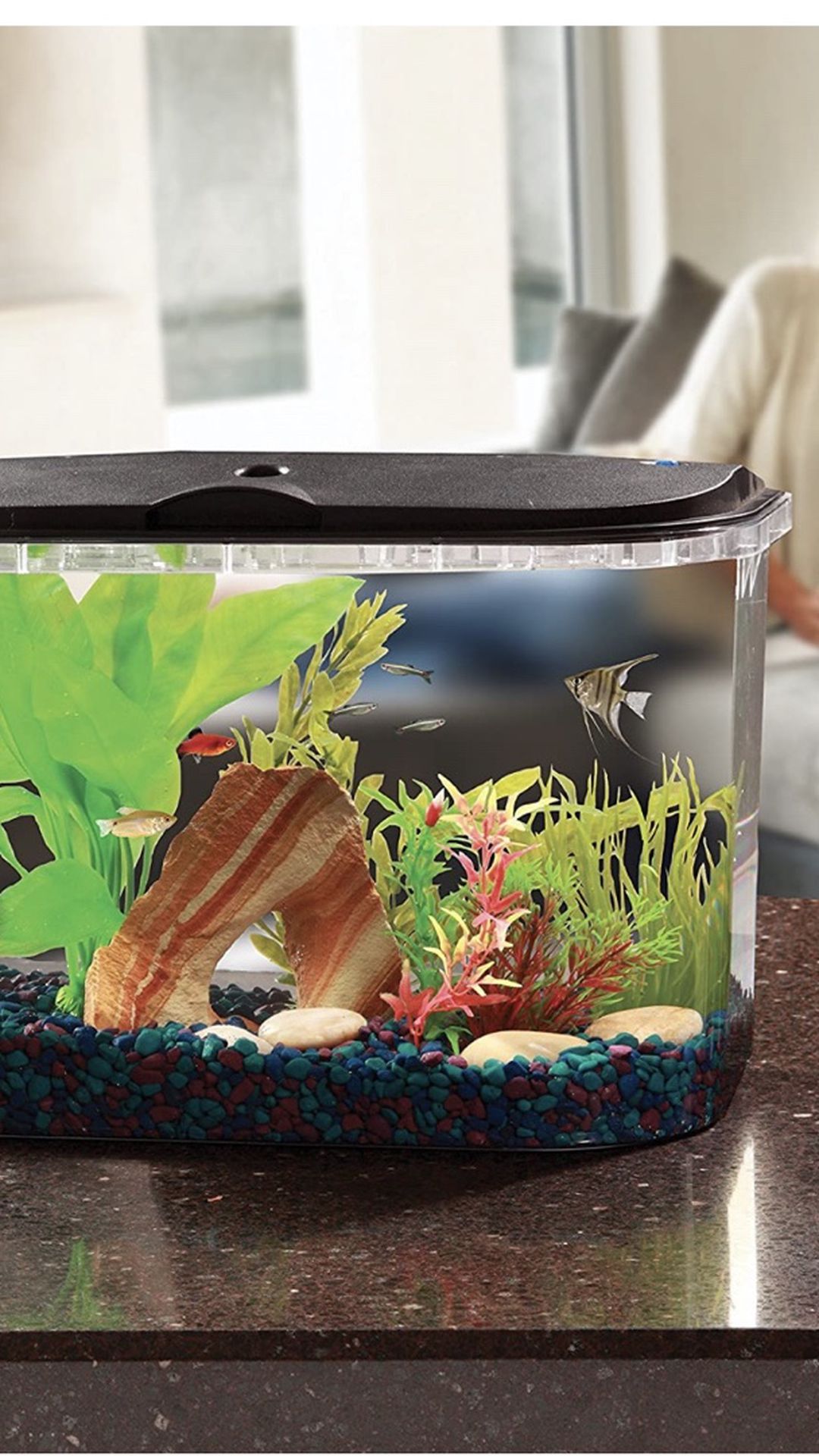 5 Gallon Fish Tank W/ Led Lights & Filter