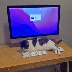 27” iMac with Retina 5K display 3.0GHz i5 (2019)