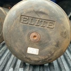 25lb Dumbbells Elite 