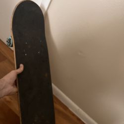 Skate Board 