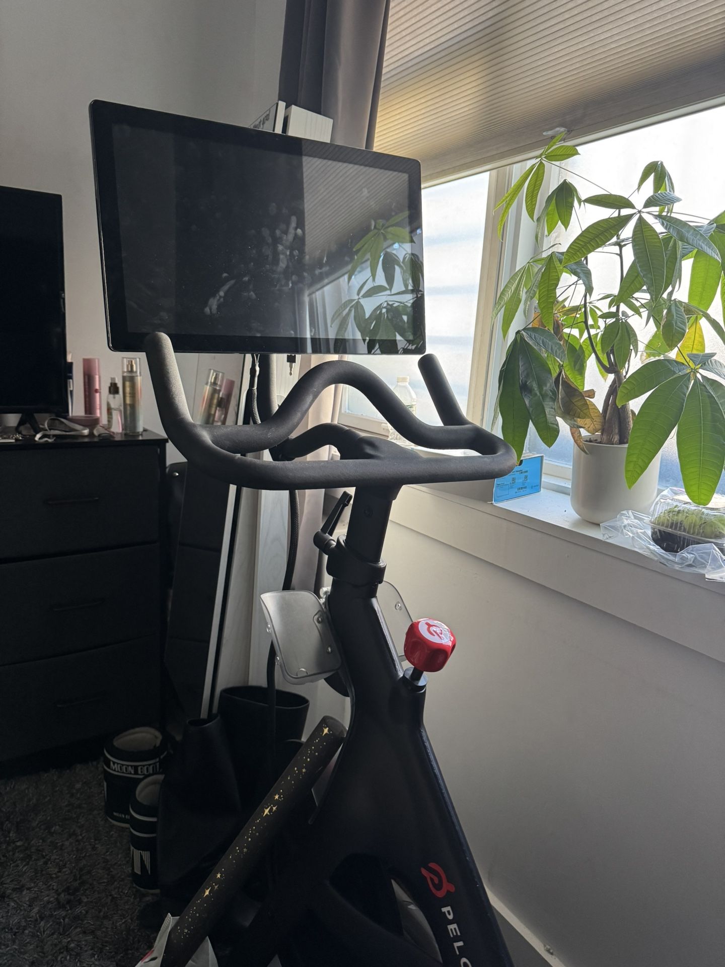 PELATON BIKE- PERFECT CONDITION