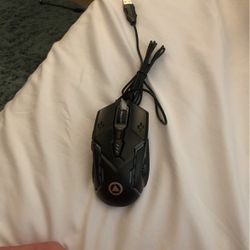 Mouse  That You Can Plug In To Your Laptop or computer