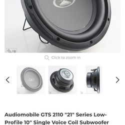 2 - 10 Inch Audiomobile Subwoofer w/box