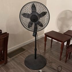 Standing Fan 